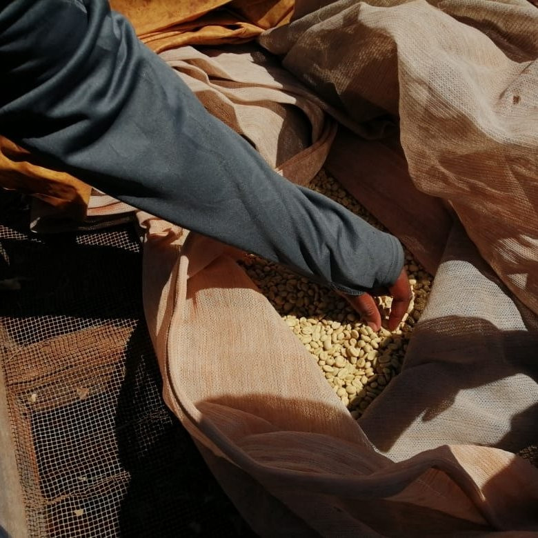 Juja旅游攻略图片