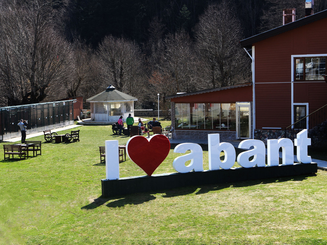 ABANT Bahceli Kosk主图