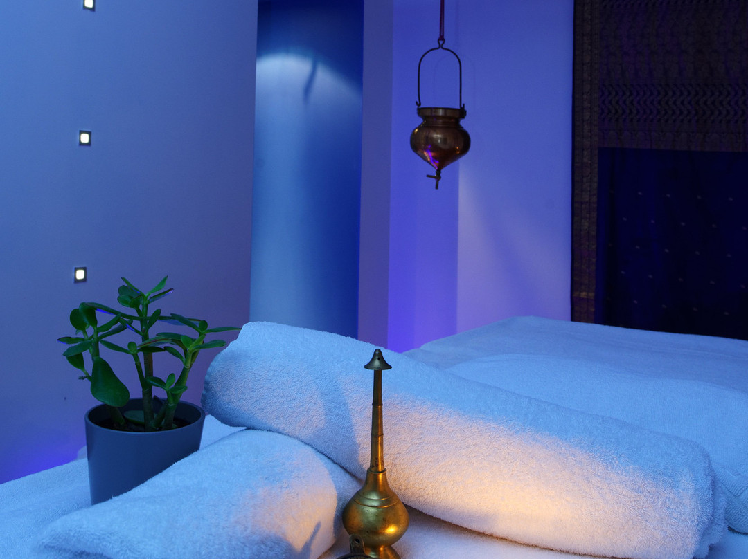 Centre Ayurvedique Aum Shanti景点图片