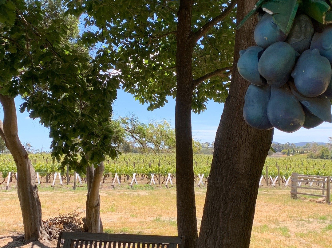Iron Pot Bay Vineyard-Rowella必去景点