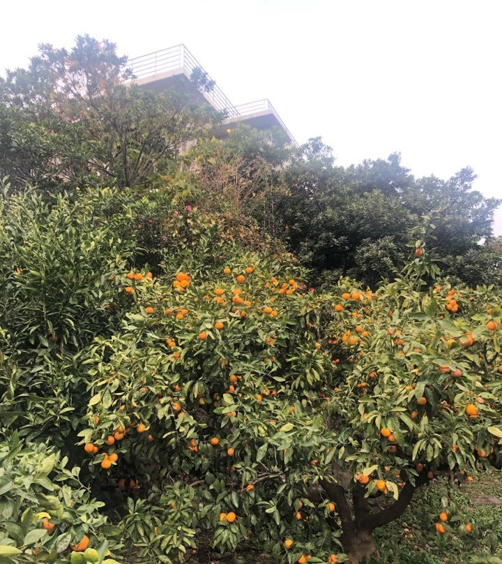 耶菊考套房酒店主图