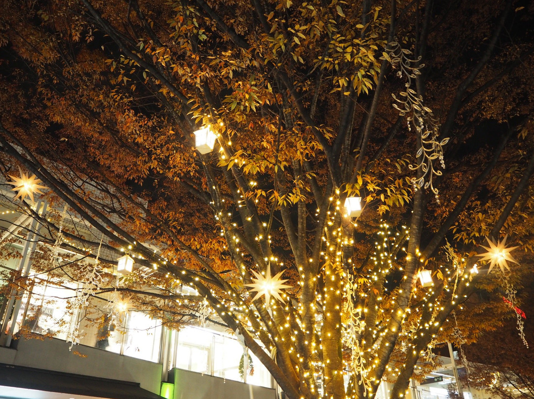 Hoshigaoka Terrace-名古屋市必去景点