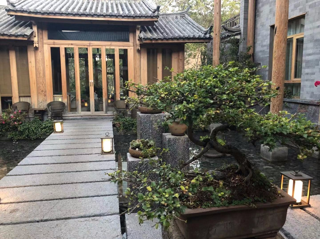 丽江阿若康巴·庆云庄园（束河古镇店）主图