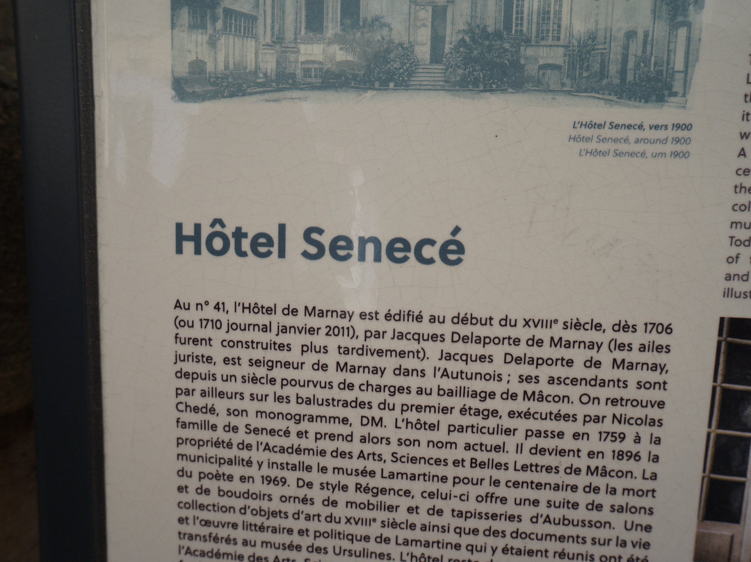 Hôtel de Senecé景点图片