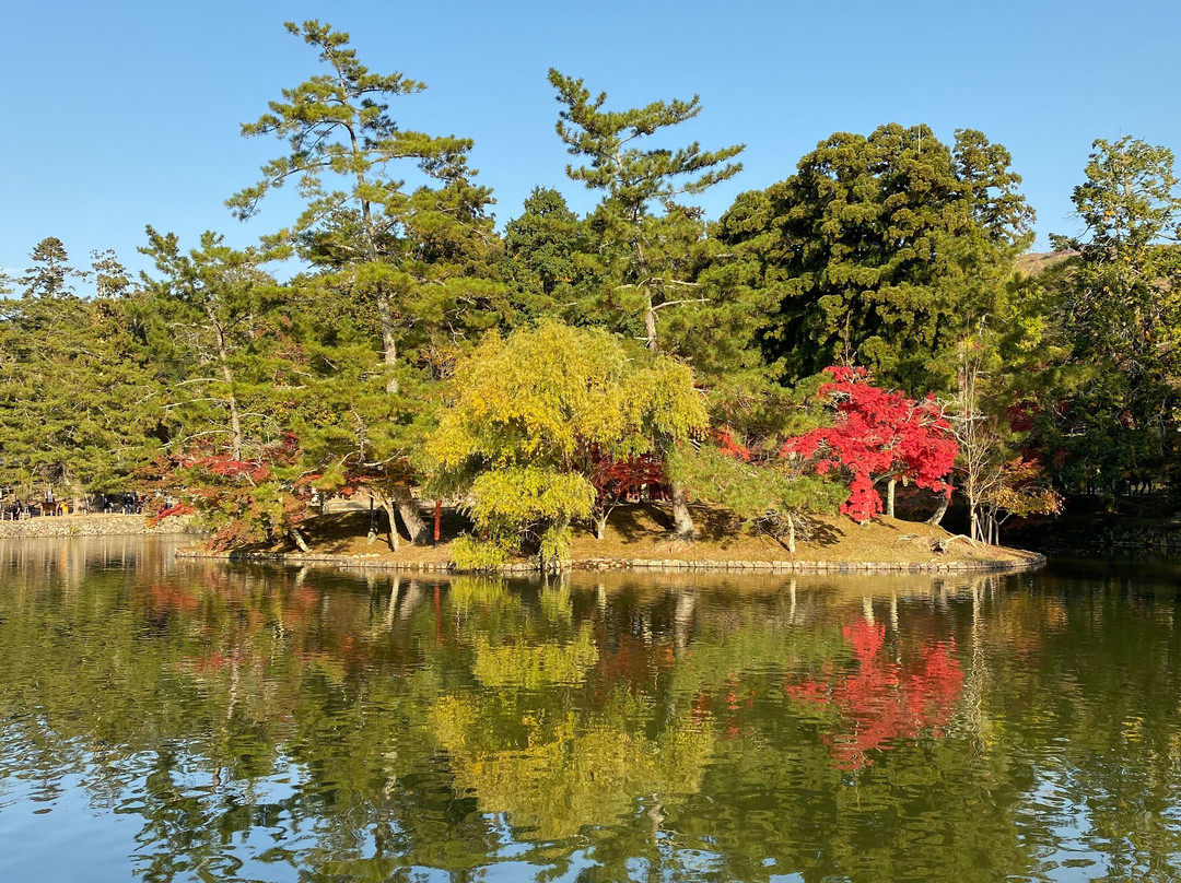奈良公园景点图片