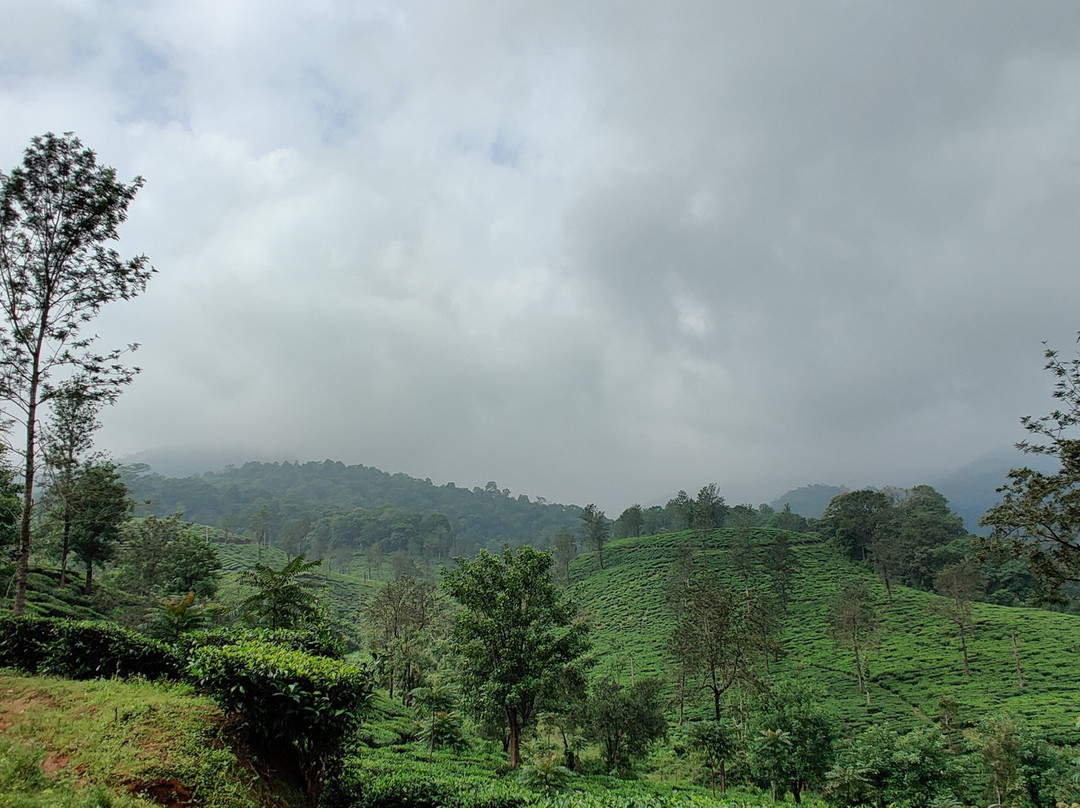 Ciceronis Travel-Pozhuthana必去景点