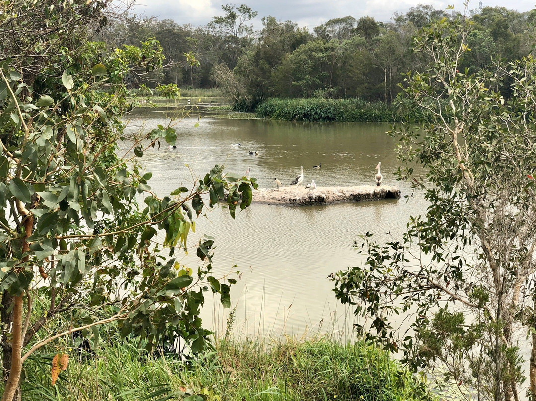 Berrinba Wetlands Park景点图片