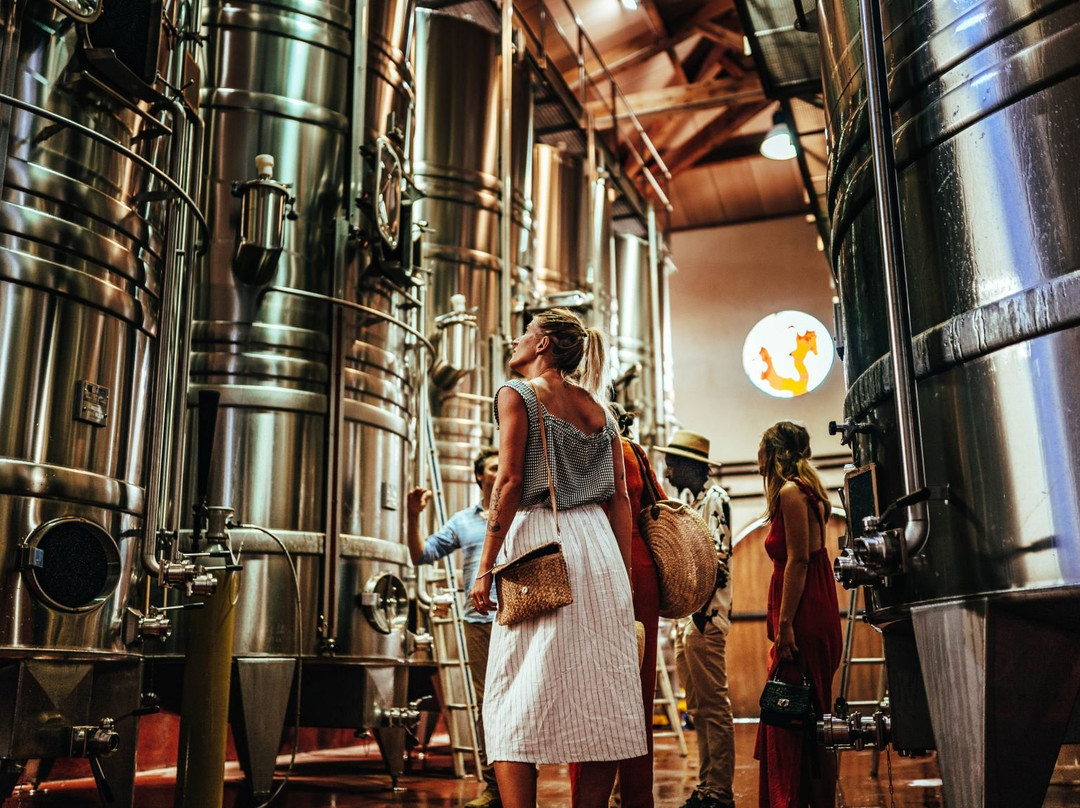 Azur Wine Tours景点图片