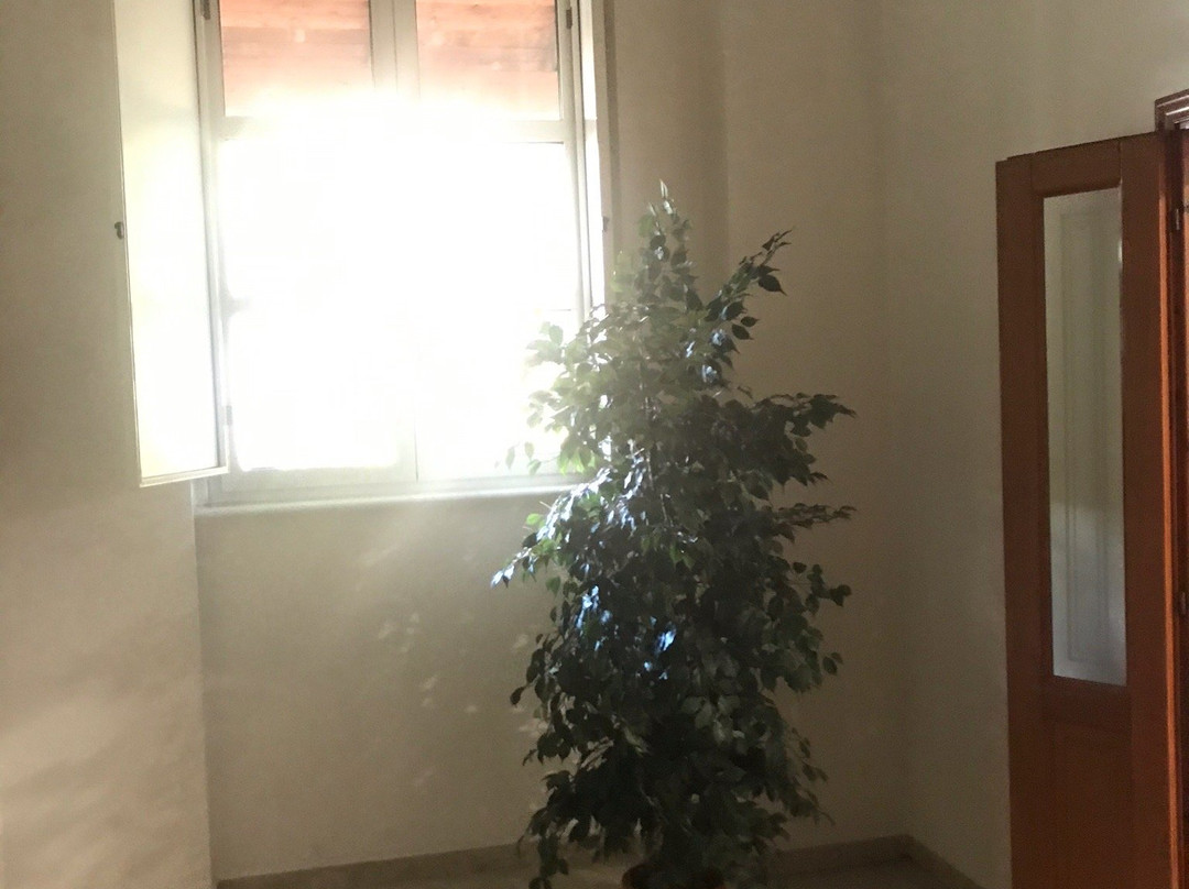 Parco del Seminario主图