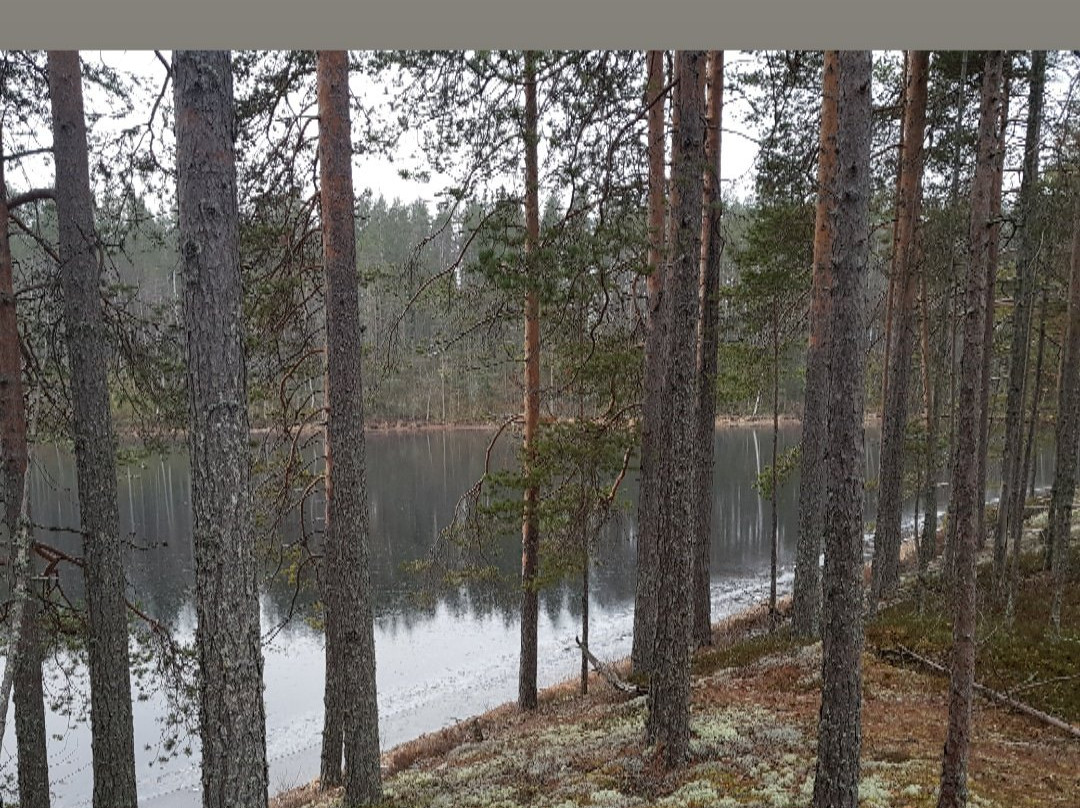 Petkeljärven Kansallispuisto-Ilomantsi必去景点