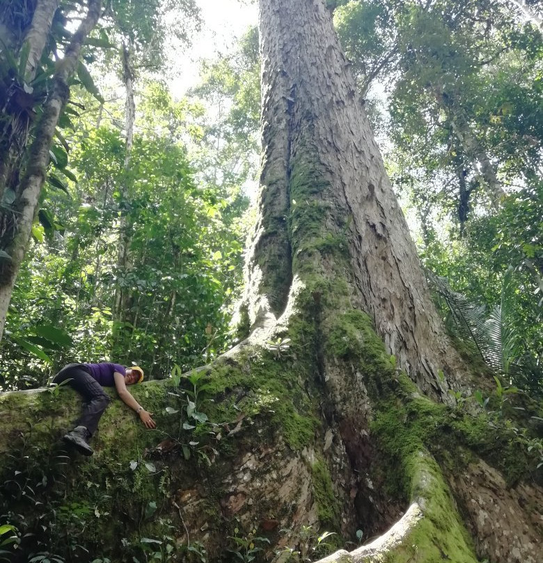 Pampa Hermosa National Sanctuary-San Ramon必去景点