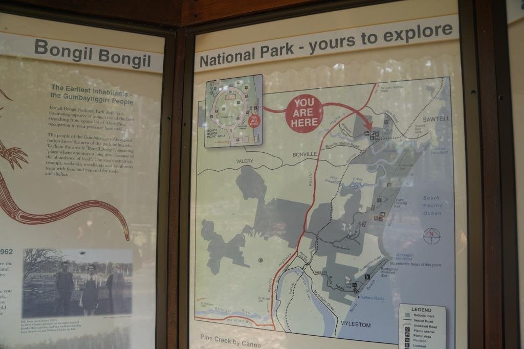 Bongil Bongil National Park景点图片