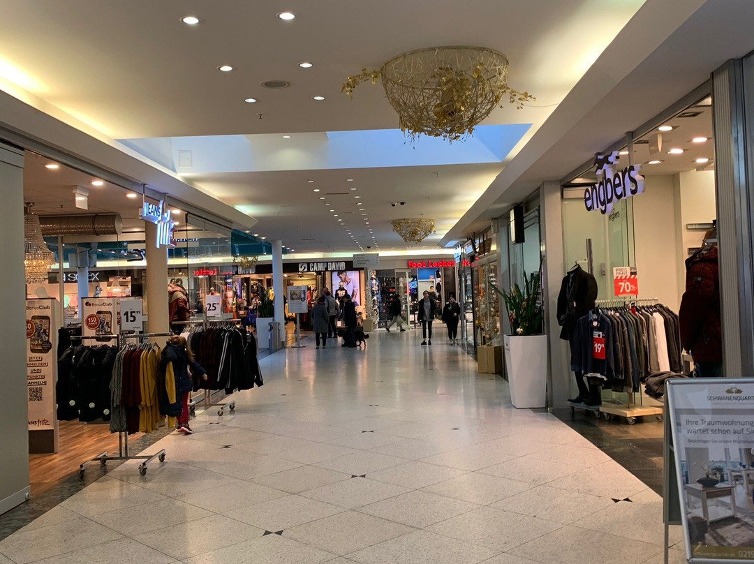 Schwanenmarkt景点图片