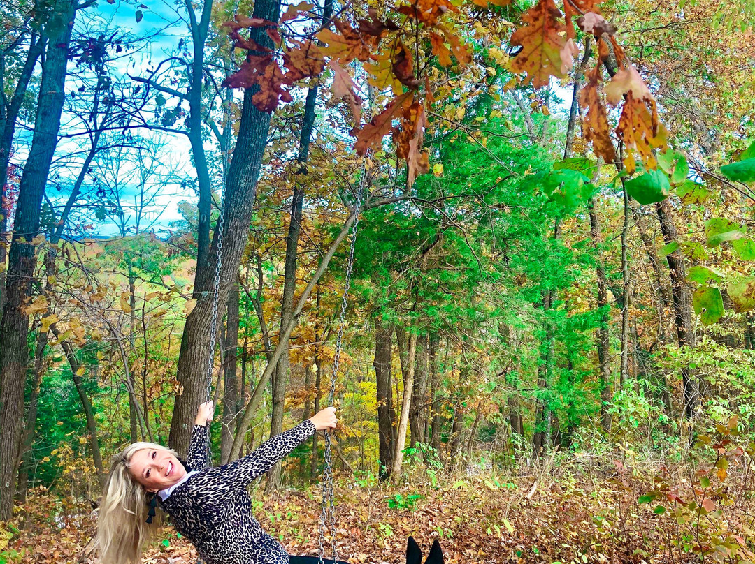 The Cottage | Treehouses & Cabins主图