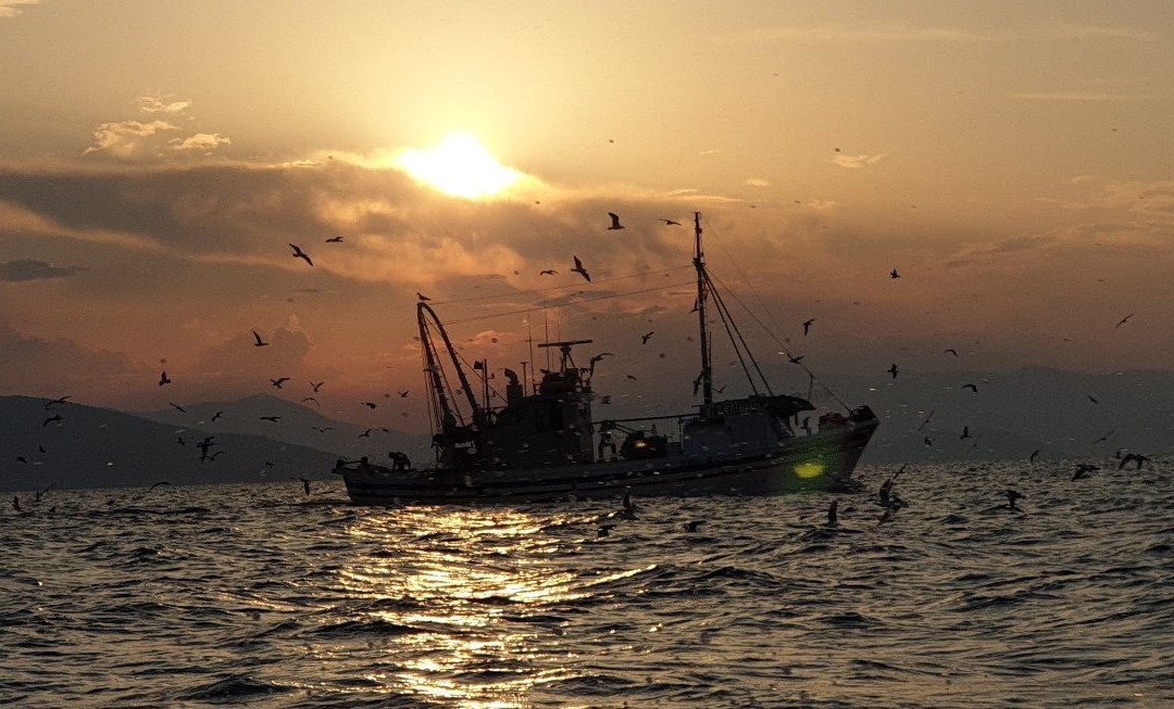 OpenSea RIB Charter-Anavyssos必去景点