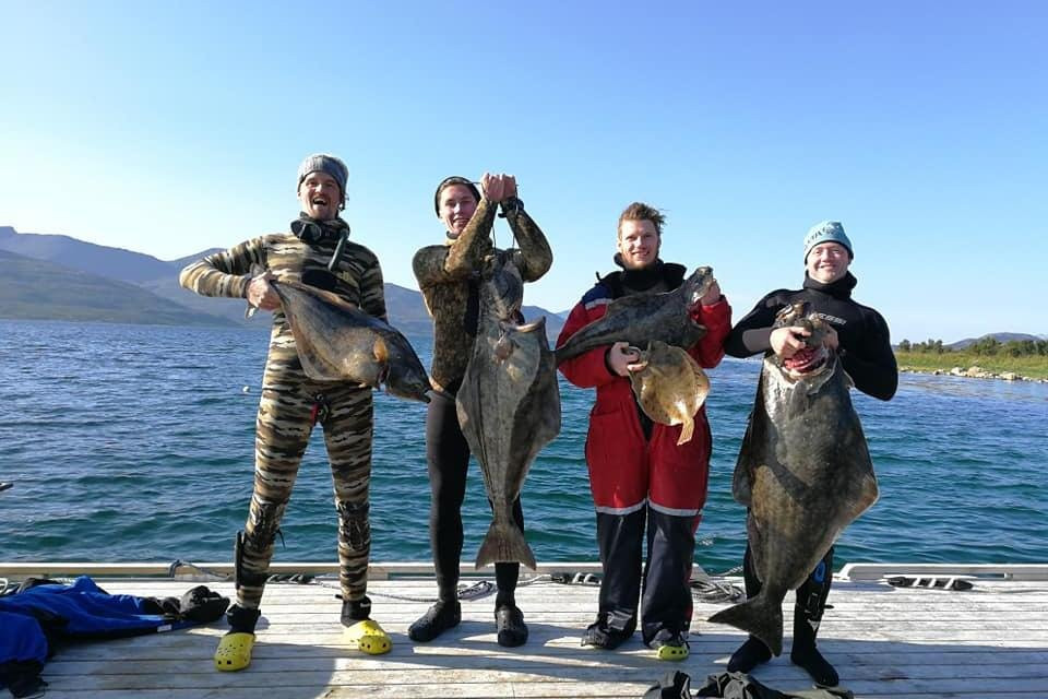 Arctic Spearfishing & guided fishing景点图片