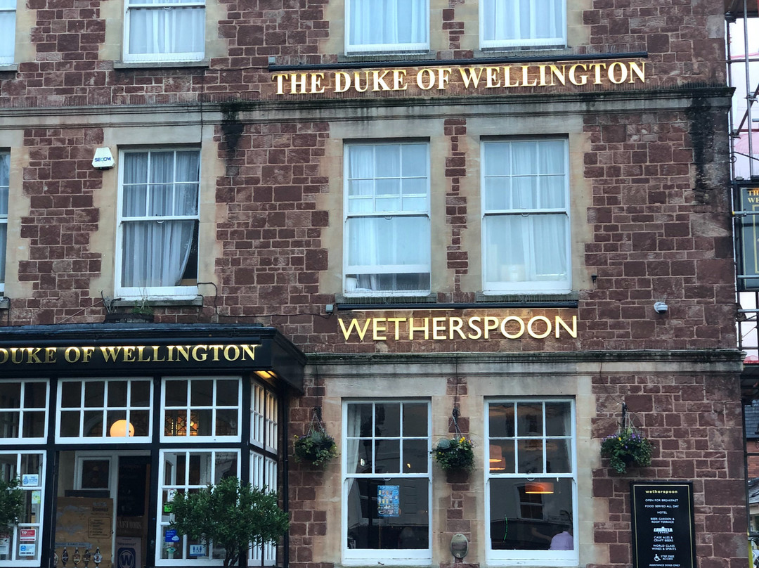 The Duke of Wellington主图