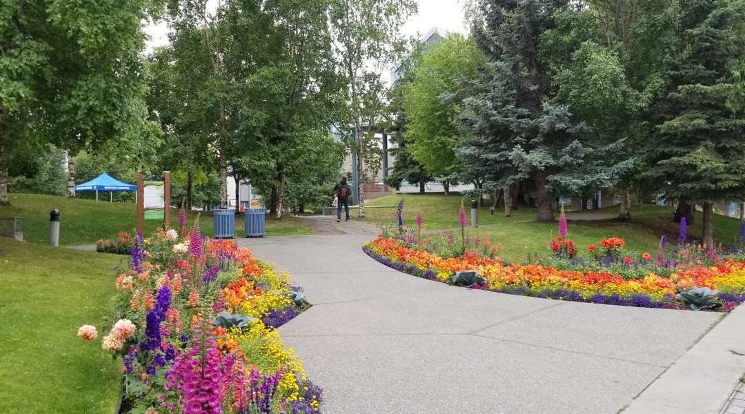 Visit Anchorage Log Cabin Visitor Information Center景点图片