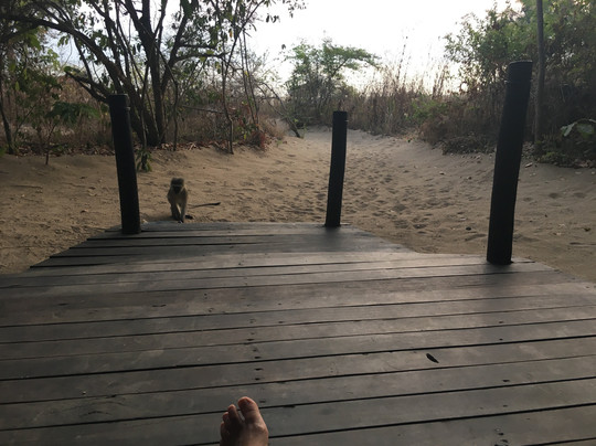 格雷斯托克马哈勒露营帐篷主图