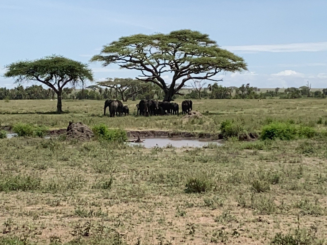 Uisso Adventures and Safari景点图片