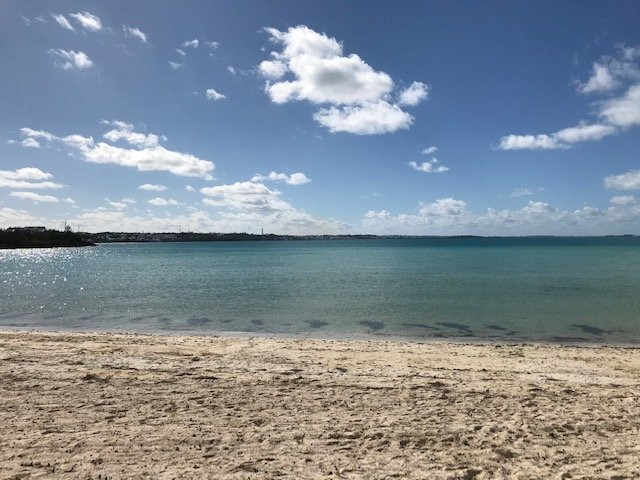 Shelly Bay Beach景点图片