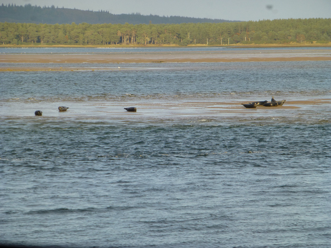 Loch Fleet National Nature Reserve景点图片