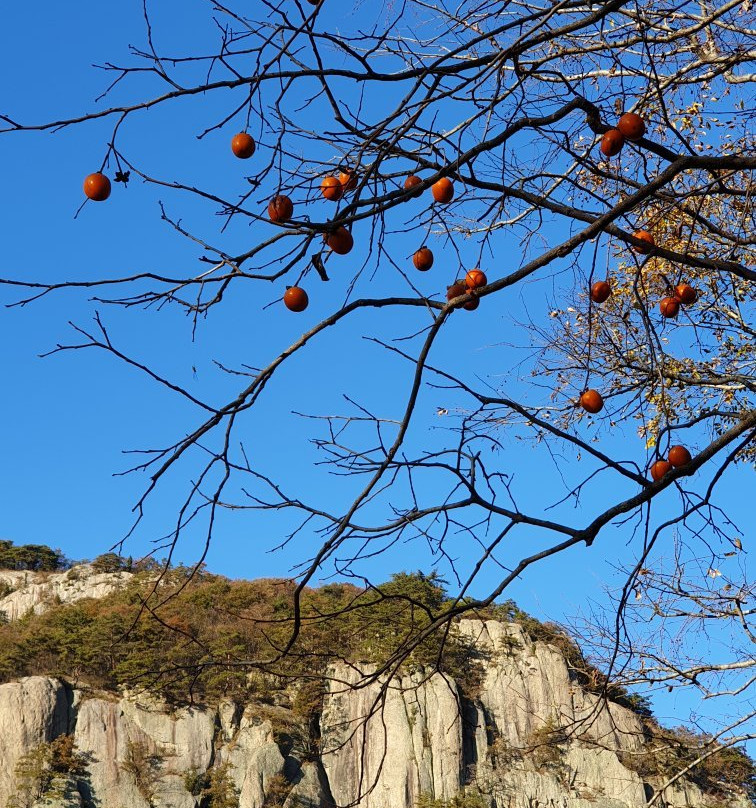Byunsan Aqua World-扶安郡必去景点
