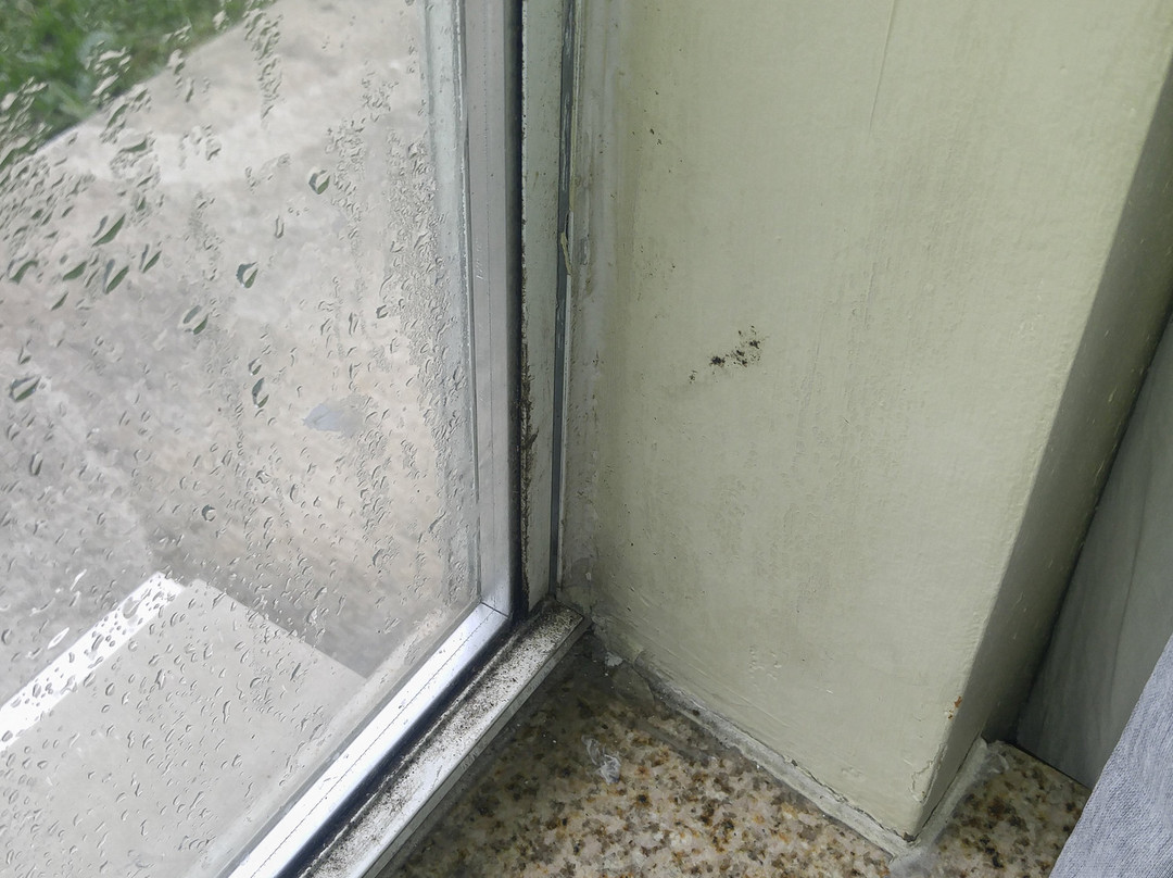 SureStay By Best Western Tuscaloosa Southeast主图