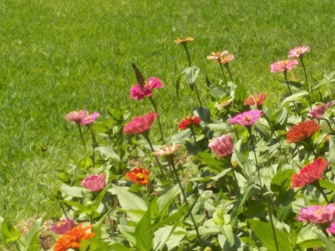 Plaza Mártires del 2 de Enero-利昂必去景点