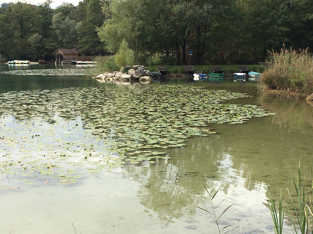 Maison du Lac d'Aiguebelette - Savoie景点图片