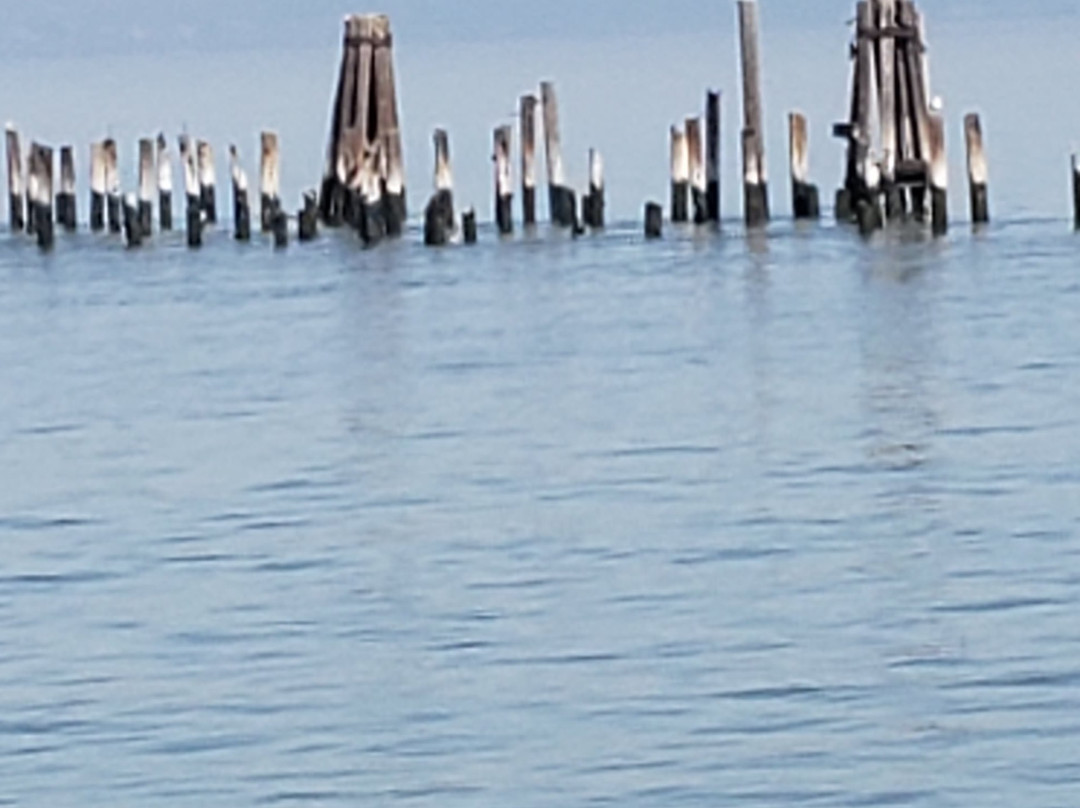 Point Pinole-列治文必去景点