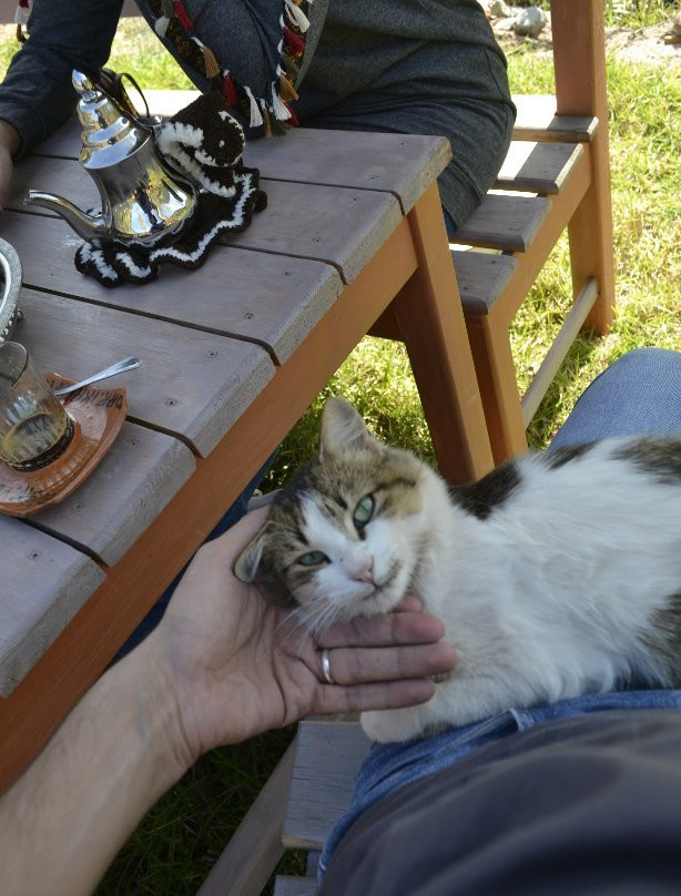 Dar Ikalimo Ourika主图