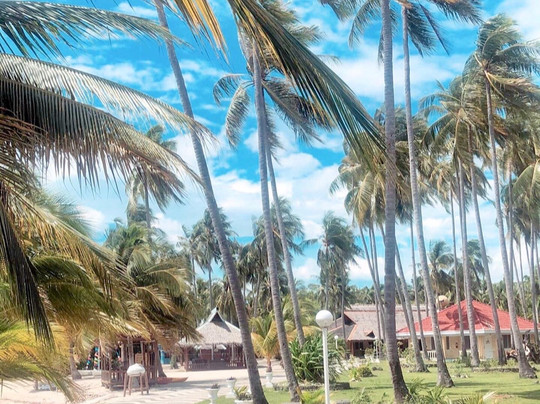 Whispering Palms Island Resort主图