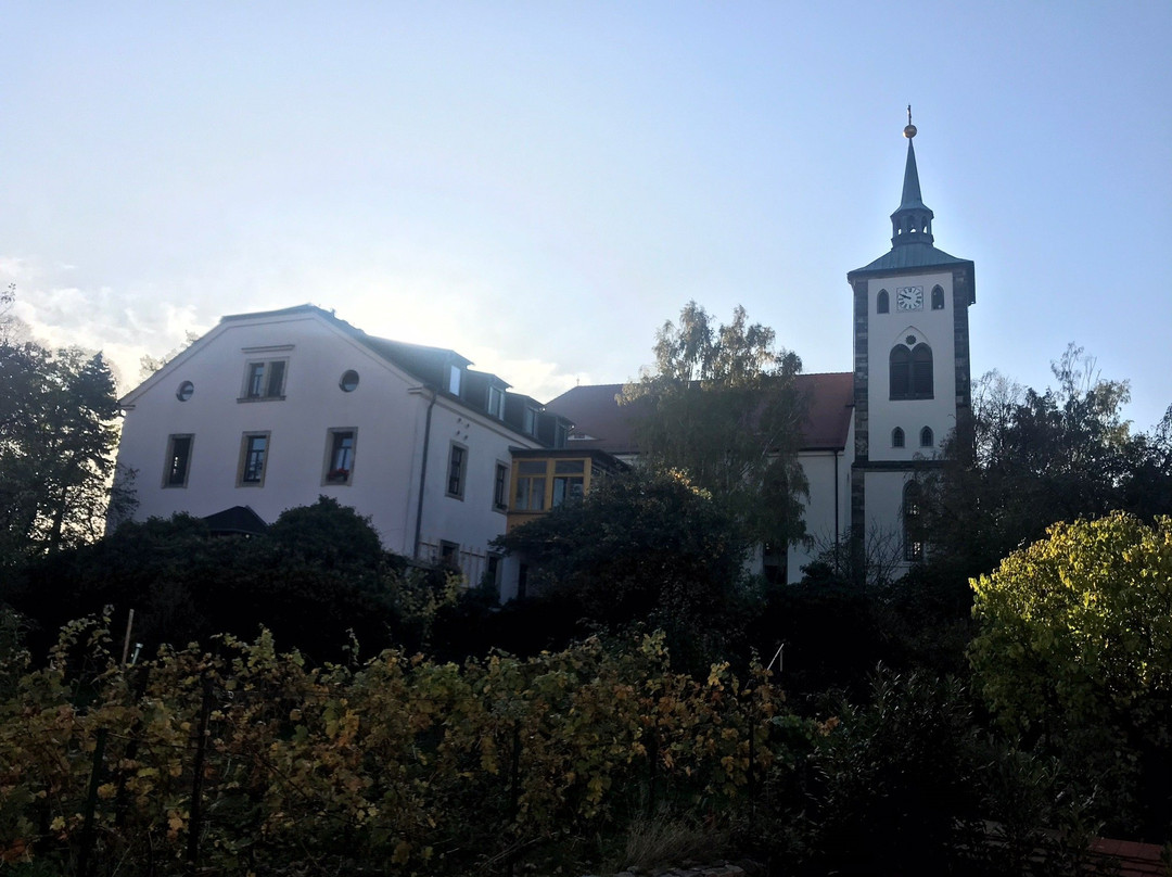Zum Weingutshof in Zadel景点图片