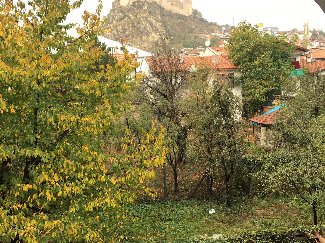 Sinan Bey Konagi Otel & Restaurant主图