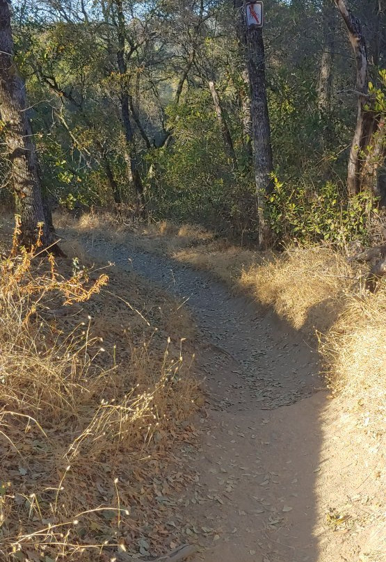 Folsom Lake State Recreation Area-佛森必去景点