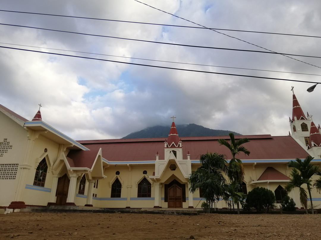 Reinha Rosary Cathedral Church景点图片
