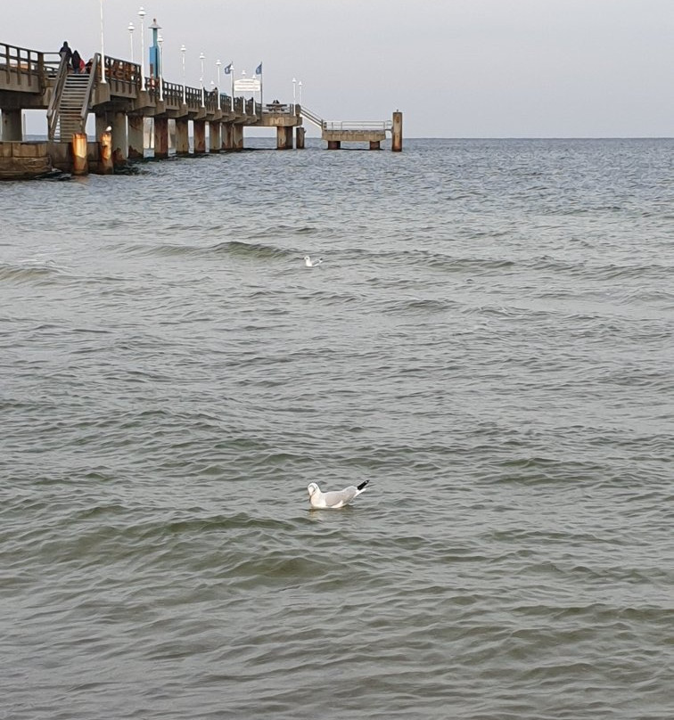 Seebrueke Koserow an der Ostsee-Koserow必去景点