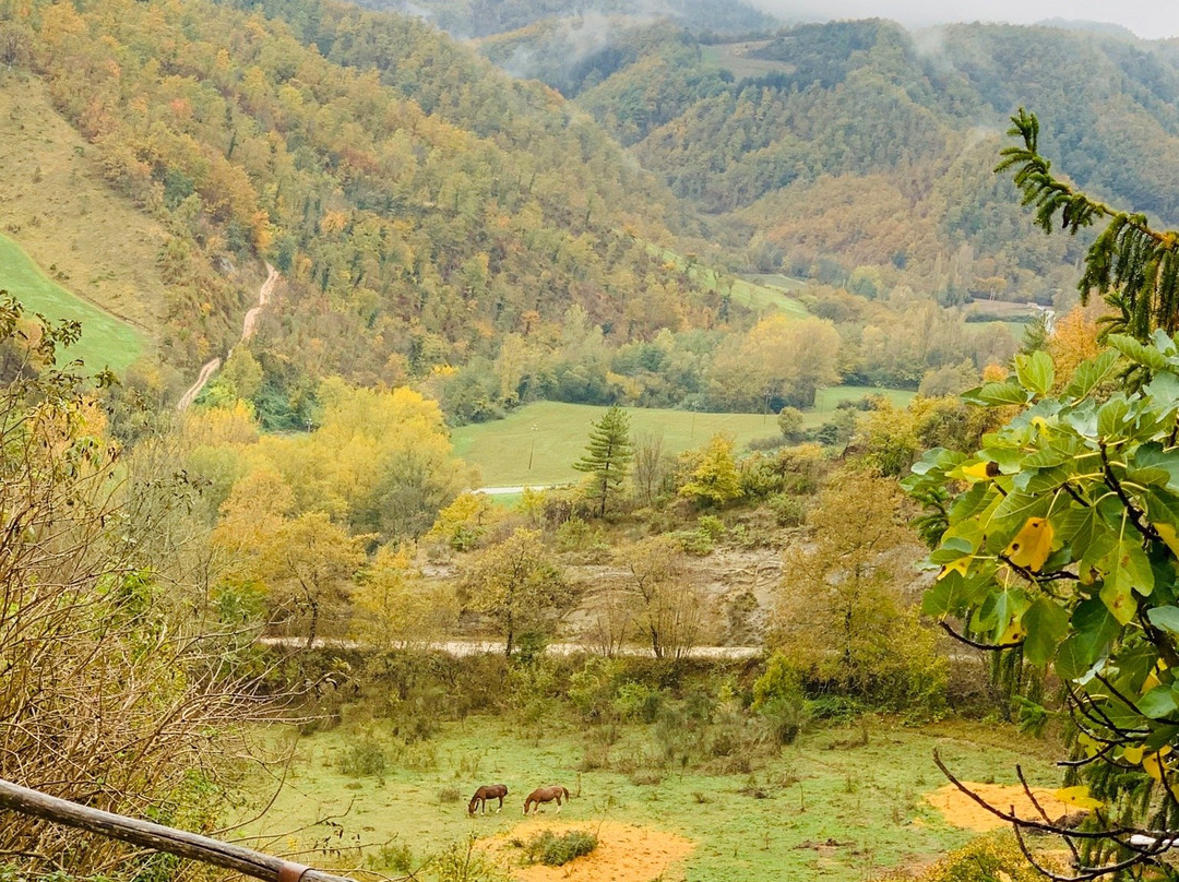 Villa La Farfalla主图