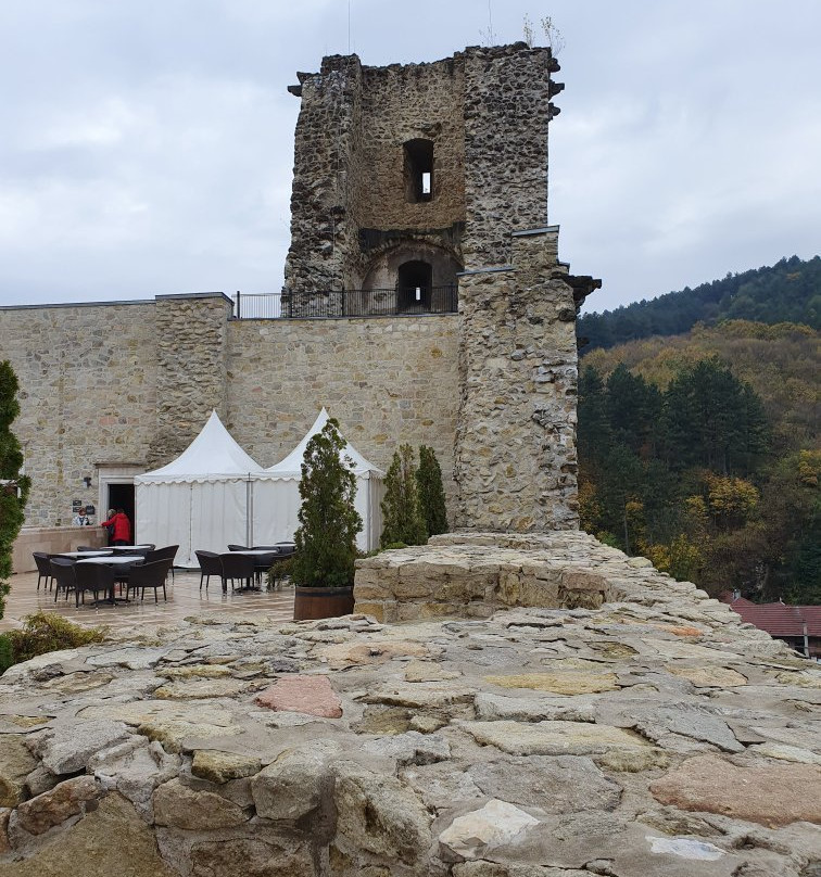 Castle of Diósgyőr景点图片