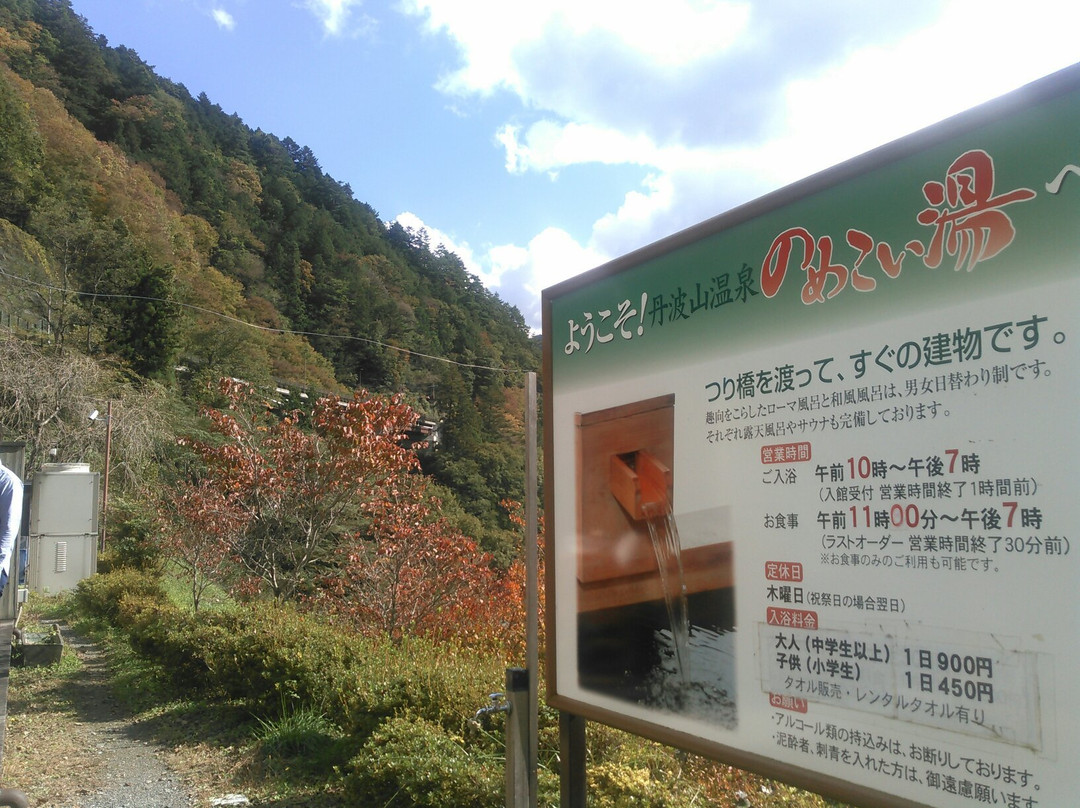 Tambayama Onsen Nomekoiyu景点图片