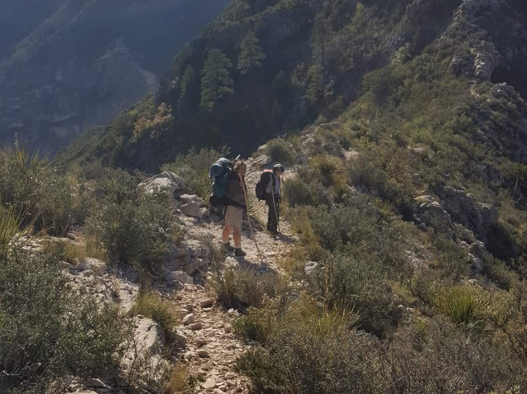 McKittrick Canyon-Guadalupe Mountains National Park必去景点