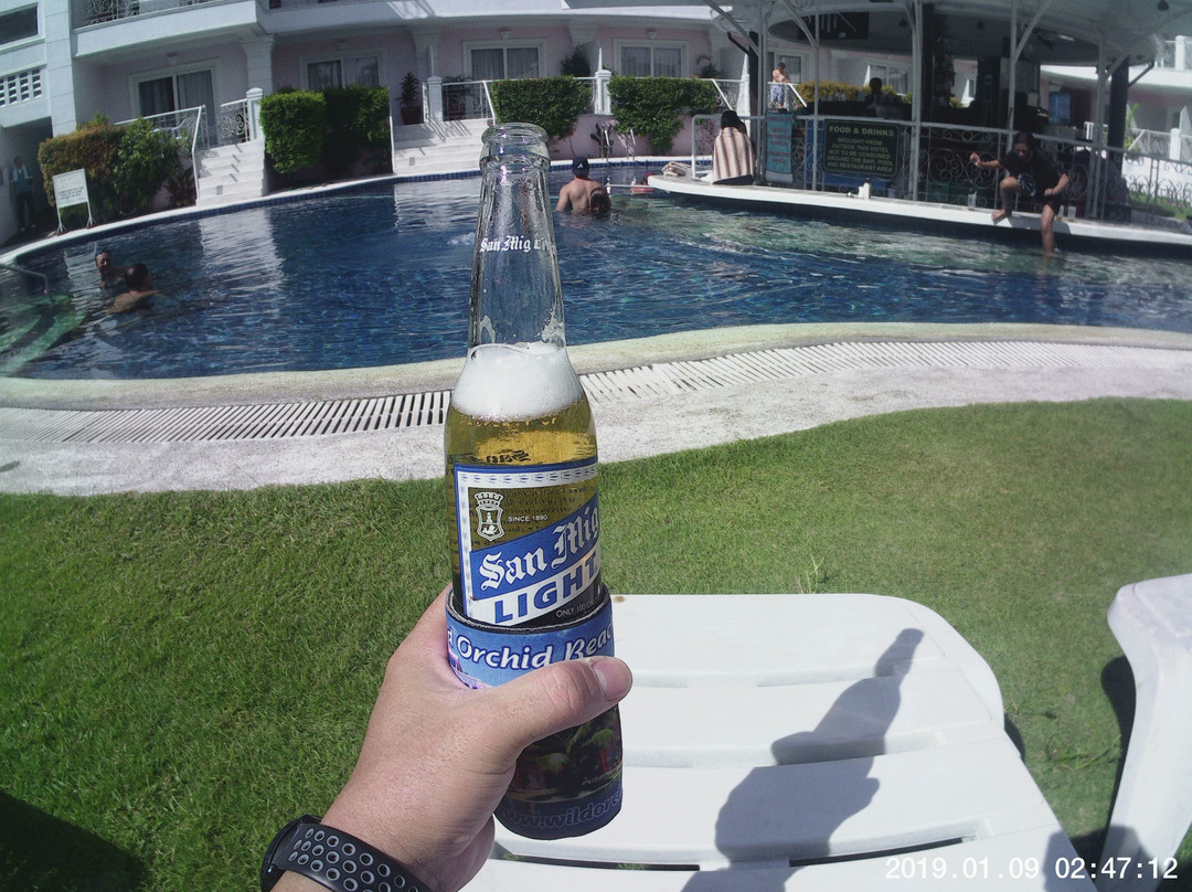 野生兰花度假村主图