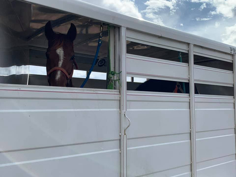 Ferro's Blue Mesa Ranch-Gunnison必去景点