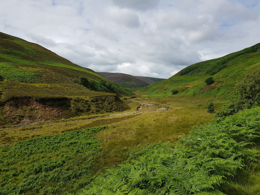 Forest of Bowland Area of Outstanding Natural Beauty景点图片