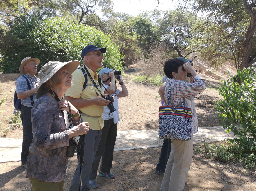 RUNA turismo-奇克拉约必去景点