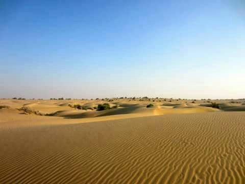 Carpe Diem Desert Safari景点图片