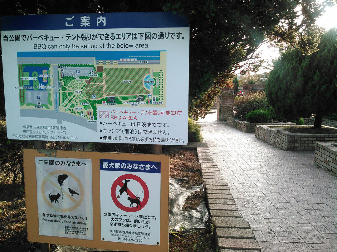 Umikaze Park景点图片