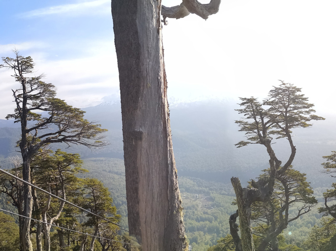 Teleferico Condor Andino-耐尔杜美必去景点