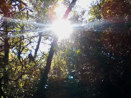 Hanging Rock State Park景点图片